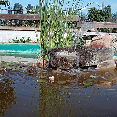 B&B La Gioiosa Ασίζη Εξωτερικό φωτογραφία