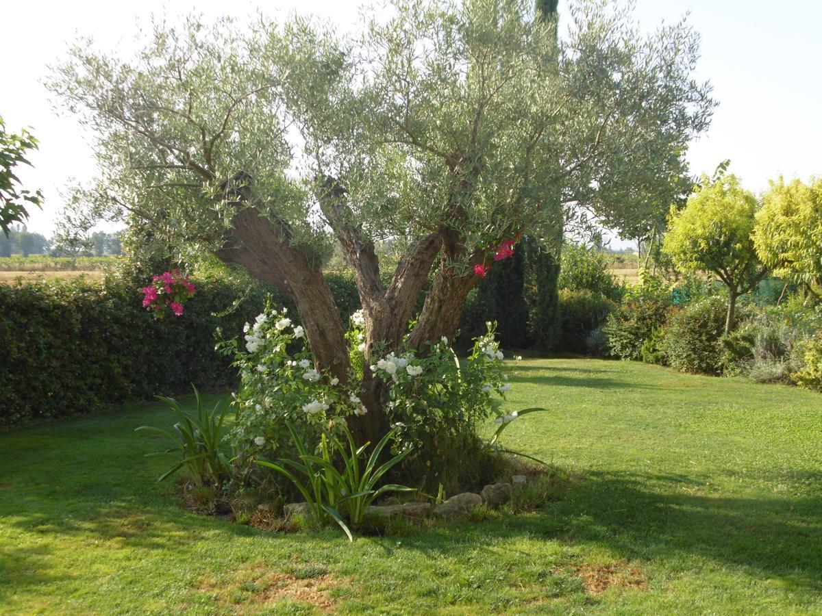 B&B La Gioiosa Ασίζη Εξωτερικό φωτογραφία